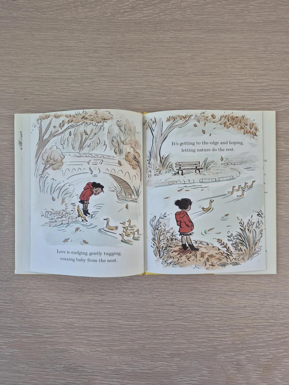 Chronicle Books picture balance finds
